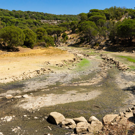 Rainwater Harvesting
